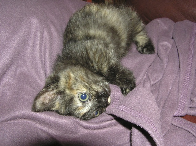 P1010013.jpg