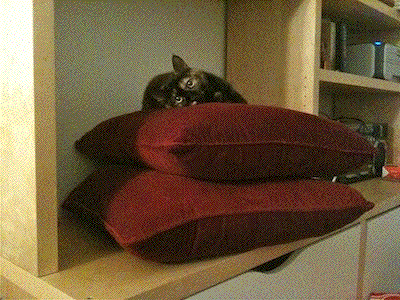 nubs gif2.gif